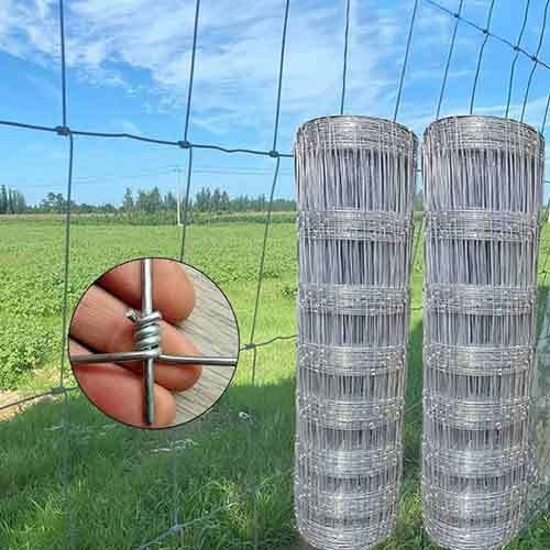 Galvanized 5 6 7 8 FT Fixed Knot Deer Cattle Fence on Farm Field Fence, Metal Farm Fencing