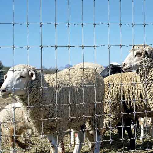 Fixed Knot Field Fence Panels for Farm and Pastures Perimeter Safety